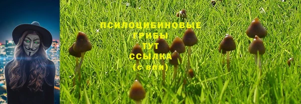 спиды Балахна