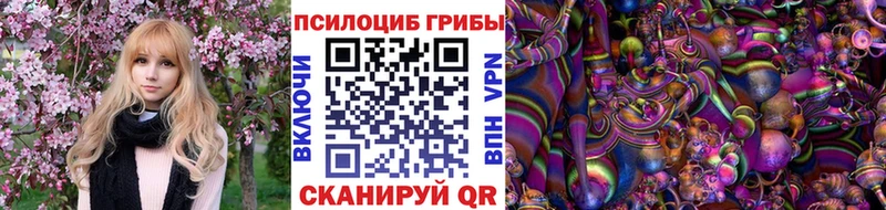 Галлюциногенные грибы Psilocybe  продажа наркотиков  Пучеж 